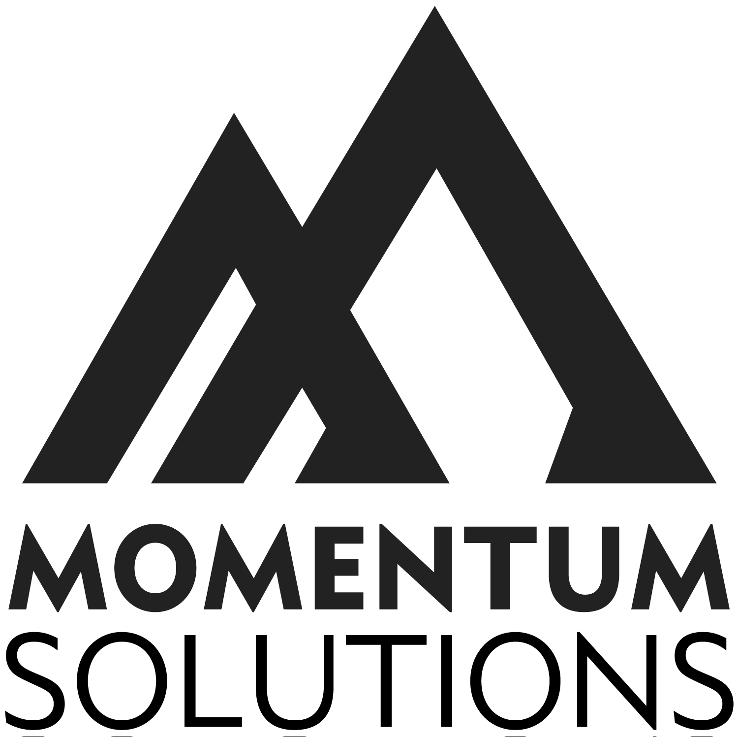 Momentum Solutions